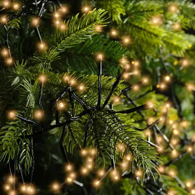 Produktbild von Kaemingk Lumineo Cluster Lichterkette 2040 LED klassisch warm außen 19 m schwarz