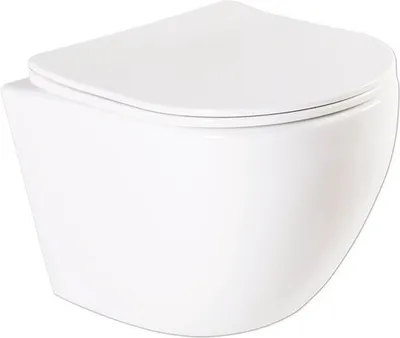 Produktbild von Wand-WC Set Aliki Tiefspüler ohne Spülrand kurz weiß glänzend mit WC-Sitz 1271890