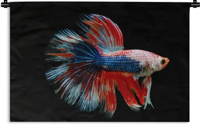 Produktbild von MuchoWow® Wandteppich Wandbehang Fisch - Meerestier - Schwanz - Blau 60x40 cm Tapisserie Dekoration Wandtuch - Wanddekorationen