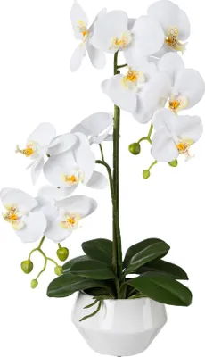 Obrázek produktu pro Umělá květina orchidej phalaenopsis 52 cm bílá v keramickém květináči Real Touch
