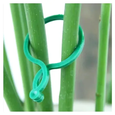 Produktbild von Clips für Gartenpflanzen - Rankhilfen für Kletterpflanzen | Rankenhalterung für Innen- und Außenbereich für Gurken, Tomaten, Gemüse und Orchideen