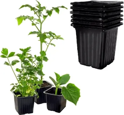 Produktbild von MIKONI Anzuchttöpfe | ■ 9 cm | 50 Stück | Pflanzschale Anzuchtschale Aussaattöpfe Ziehtöpfe Anzuchttopf Saattopf Anpflanzen