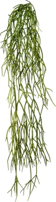 Produktbild von GASPER Kakteen - Rhipsalisranke 61 cm - Kunstblumen