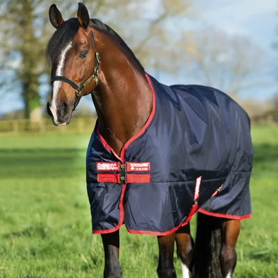 Produktbild von Horseware Rambo Original Turnout Medium 200g - Navy/Red, 115