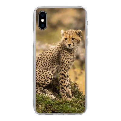 Produktbild von MuchoWow® Handyhülle Schutzhülle Hülle für iPhone Xs Leopard - Wald - Tier Silikon Softcase Handy Hülle - Handytasche
