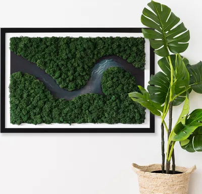 Produktbild von Moosbild mit Echtem Isländisch Moos - 60x40 cm - Schwarzer MDF-Rahmen - Fluss im Wald