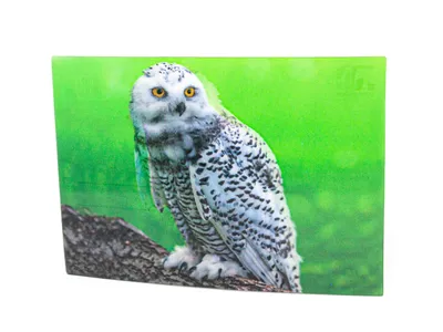 Produktbild von 3 D Ansichtskarte Schnee Eule, Postkarte Wackelkarte Hologrammkarte Tiere Tier Vogel Eulen