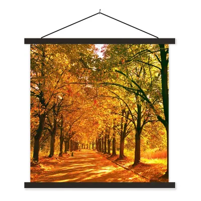 Produktbild von MuchoWow® Textilposter Wald - Herbst - Jahreszeiten - Ländlich 40x40 cm mit schwarzem Rahmen - Fotos