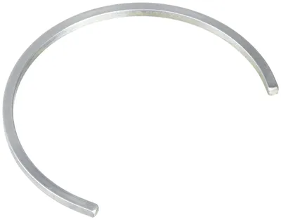 Befestigungsring SR100/4 für Plummerblöcke, einzeln