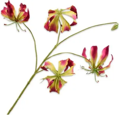 Produktbild von Warentuin Producten
