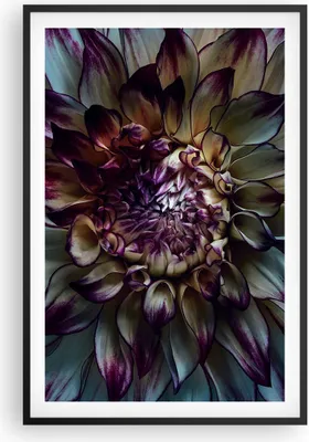 Produktbild von Gerahmtes Poster - Schwarzer Rahmen - Blätter Agave Blume - 61x91,5 cm - Wand Bild - Wanddeko - Wandbilder - Kunstposter - Wandposter - Bilderrahmen - Bilder - Kunstdruck - P2BPA61x91-5122