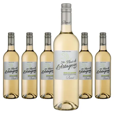Produktbild von 6 x Plaimont Fleur De D'Artagnan Blanc