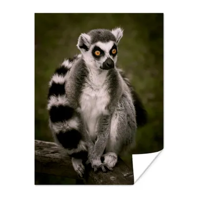 Produktbild von MuchoWow® Poster Affe - Zweig - Tier 120x160 cm - Wandbilder