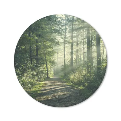 Produktbild von MuchoWow® Mauspad Mousepad Wald - Licht - Weg 30x30 cm - Mousepads - Maus Mat - Pad - Mausunterlage - Tischunterlage - Schreibtischmatten