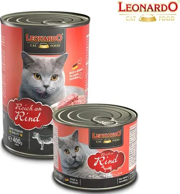 Image de LEONARDO Riche en bœuf