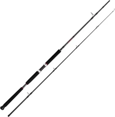 Produktbild von Shimano Fishing Vengeance Ax Pilk Jiggingrute Silber 2.40 m / 150-300 g Silber 2.40 m