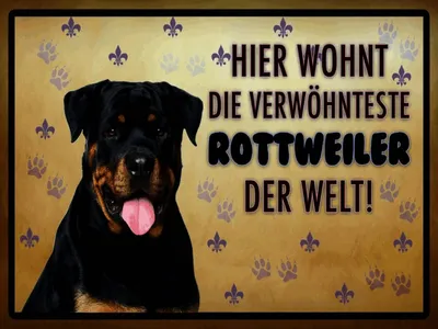 Produktbild von vianmo Holzschild 30x40 cm Hund hier wohnt die Rottweiler