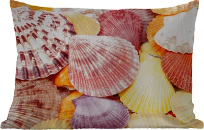 Produktbild von MuchoWow® Outdoor Kissen - Muscheln - Rot - Gelb - Strand - Sommer - 60x40 cm - Wetterfest - Lounge Kissen - Zierkissen - Kissen für Innenräume