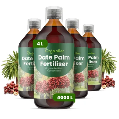 Produktbild von Dattelpalmen Flüssigdünger 4x1L – 2-1-8 NPK – Flüssigdünger Für Palmen – Für Blätter & Kräftiges Wachstum – Fördert Wurzeln & Vitalität – Organifer