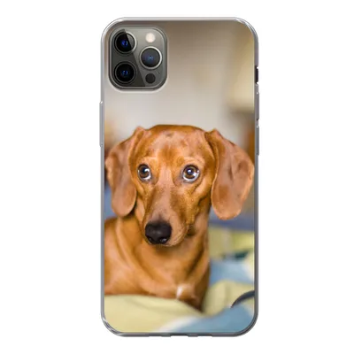 Produktbild von MuchoWow® Handyhülle Schutzhülle Hülle für iPhone 13 Pro Max Dackel liegend auf einem Bett Silikon Softcase Handy Hülle - Mobiltelefon