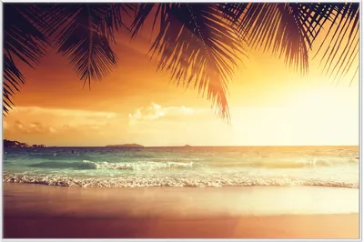 Produktbild von Wallario Wandbild Sonnenuntergang am Strand in der Karibik, Größe: 61 x 91,50 cm, Poster mit weißem Aluminiumrahmen