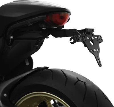 Produktbild von ZIEGER Pro Kennzeichenhalter kompatibel mit Ducati Scrambler 800 BJ 2017- Frankreich