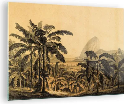 Produktbild von Bilder auf glas - Einteilig - Palmen Wald Regnerisch - 70x50cm - Glasbilder - Wandbilder - Bilder - zum Aufhängen bereit - Wanddekoration aus Glas - Glas Bilder - Wandbild auf Glas - GAA70x50-4983