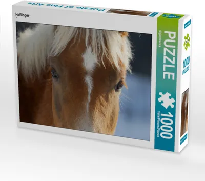 Produktbild von CALVENDO Puzzle Haflinger | 1000 Teile Lege-Größe 64x48cm Foto-Puzzle für glückliche Stunden