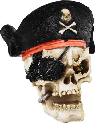 Produktbild von Totenkopf mit Piratenmütze - Priat, Halloween, Deko, Figur