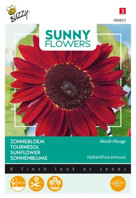 Immagine prodotto di Buzzy Sunny Flowers Semi di girasole Moulin Rouge - Circa 1 gr | Buzzy_080823
