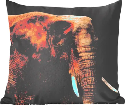 Produktbild von MuchoWow® Zierkissen Sofakissen Wohnzimmer Dekokissen 60x60 cm Elefant - Tiere - Braun - Sitzfläche - Foto Polster