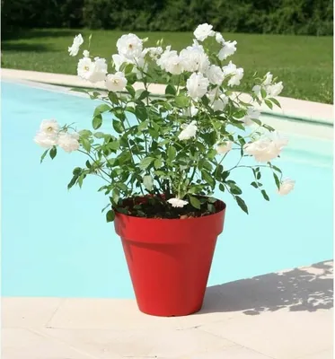 Image de Pot de fleurs RIVIERA Soleilla - Rond - Ø 60 x 53,6 cm - Rouge