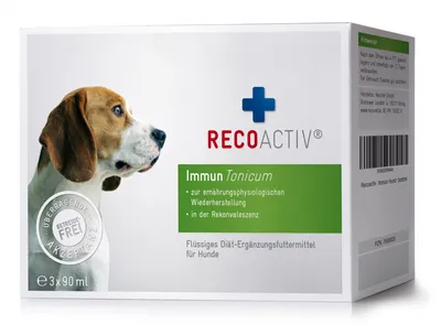 Produktbild von Recoactiv Immun Tonicum Kurpackung f.Hunde 3X90 ml