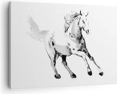 Produktbild von Bild auf Leinwand - Leinwandbild - Einteilig - Pferd Galopp Tier - 70x50cm - Wand Bild - Wanddeko - Wandbilder - Leinwanddruck - Bilder - Wanddekoration - Leinwand bilder - Wandbild - AA70x50-5117