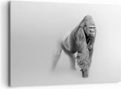 Produktbild von Bild auf Leinwand - Leinwandbild - Orang-Utan Tier - 120x80cm - Wand Bild - Wanddeko - Wandbilder - Leinwanddruck - Bilder - Kunstdruck - Wanddekoration - Leinwand bilder - Wandkunst - AA120x80-4105