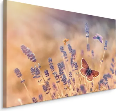 Produktbild von Fabelhafte Canvas LEINWAND BILDER 90x60 cm XXL Kunstdruck Natur Blumen Lavendel