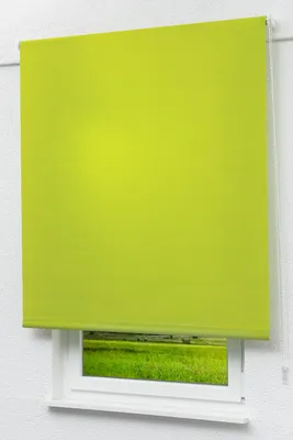 Produktbild von Lysel Outlet - Basisrollo Tageslicht Gelbgrün, (B x H) 182.50cm x 190cm in grün/gelbgrün