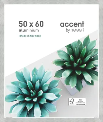Obrázok produktu pre Hliníkový rám obrazu Star 50x60 cm štruktúra strieborná matná