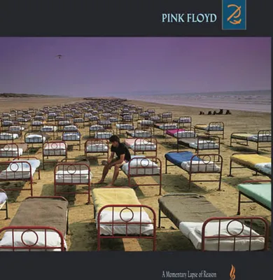 Immagine prodotto di Pink Floyd - A Momentary Lapse of Reason (ristampa) (LP)