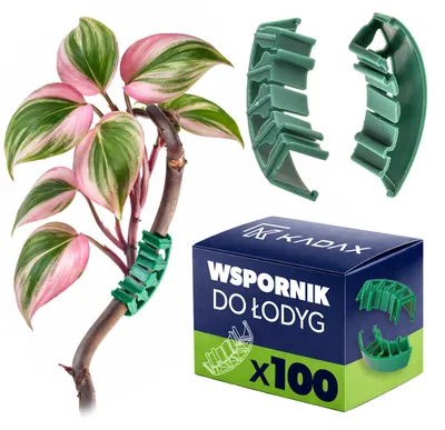 Produktbild von KADAX Pflanzenbieger 100er Set, Pflanzenstützen zum schonenden Biegen und Stabilisieren von Zimmerpflanzen, Pflanzenhalter aus Kunststoff, Pflanzenklammern