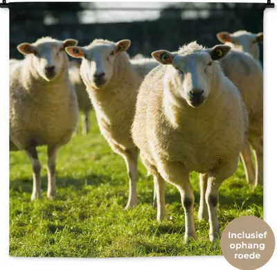 Produktbild von MuchoWow® Wandteppich Wandbehang Schafe - Tiere - Wolle 120x120 cm Tapisserie Dekoration Wandtuch - Modern - Baumwollgewebe