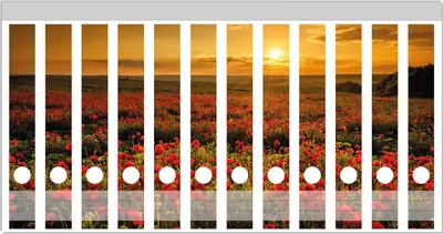 Produktbild von Wallario Ordnerrücken Sticker, selbstklebend für schmale Ordner, 12 Stück, Motiv Mohnblumenwiese bei Sonnenuntergang am Abend
