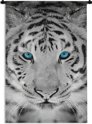 Produktbild von MuchoWow® Wandteppich Wandbehang Tiger - Winter - Tiere 90x135 cm Tapisserie Dekoration Wandtuch - Baumwolle - Wandskulptur
