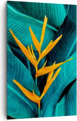 Produktbild von Bild auf Leinwand - Leinwandbild - Einteilig - Blumen Tropen Blätter - 80x120cm - Wand Bild - Wanddeko - Wandbilder - Leinwanddruck - Wanddekoration - Leinwand bilder - Wandbild - PA80x120-5116