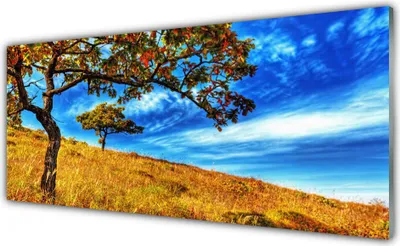 Produktbild von Küchenrückwand aus Glas 125x50cm Spritzschutz Wiese Bäume Natur