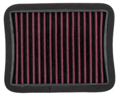 Image de Filtre à air HighPerformance MIW adaptable sur Benelli Leoncino 500-502C