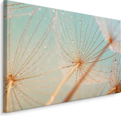 Produktbild von Fabelhafte Canvas LEINWAND BILDER 90x60 cm XXL Kunstdruck Natur Blumen Pusteblumen