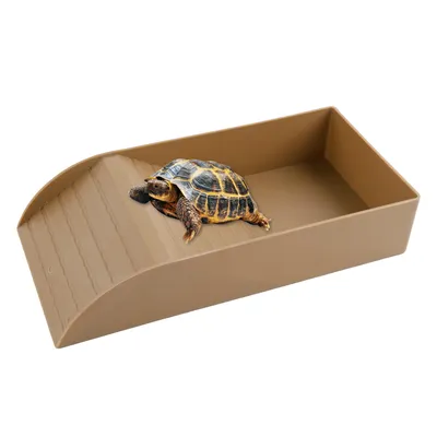 Produktbild von Futternapf für Reptilien mit Rampe und Sonnenplattform, 20*35.5*6cm,großer Rampennapf für Schildkröten, Schildkrötenbad,braun