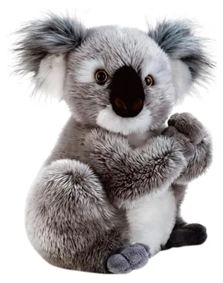 Immagine prodotto di Orsacchiotto Koala Koline - 22 cm