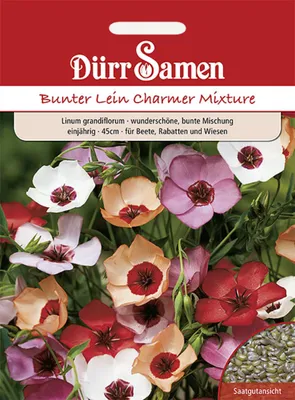 Produktbild von Bunter Lein Charmer Mischung | Leinsamen von Dürr Samen